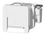 BT-wallplate-module-(617m2)-with-2-wire-line-jack-(32361)